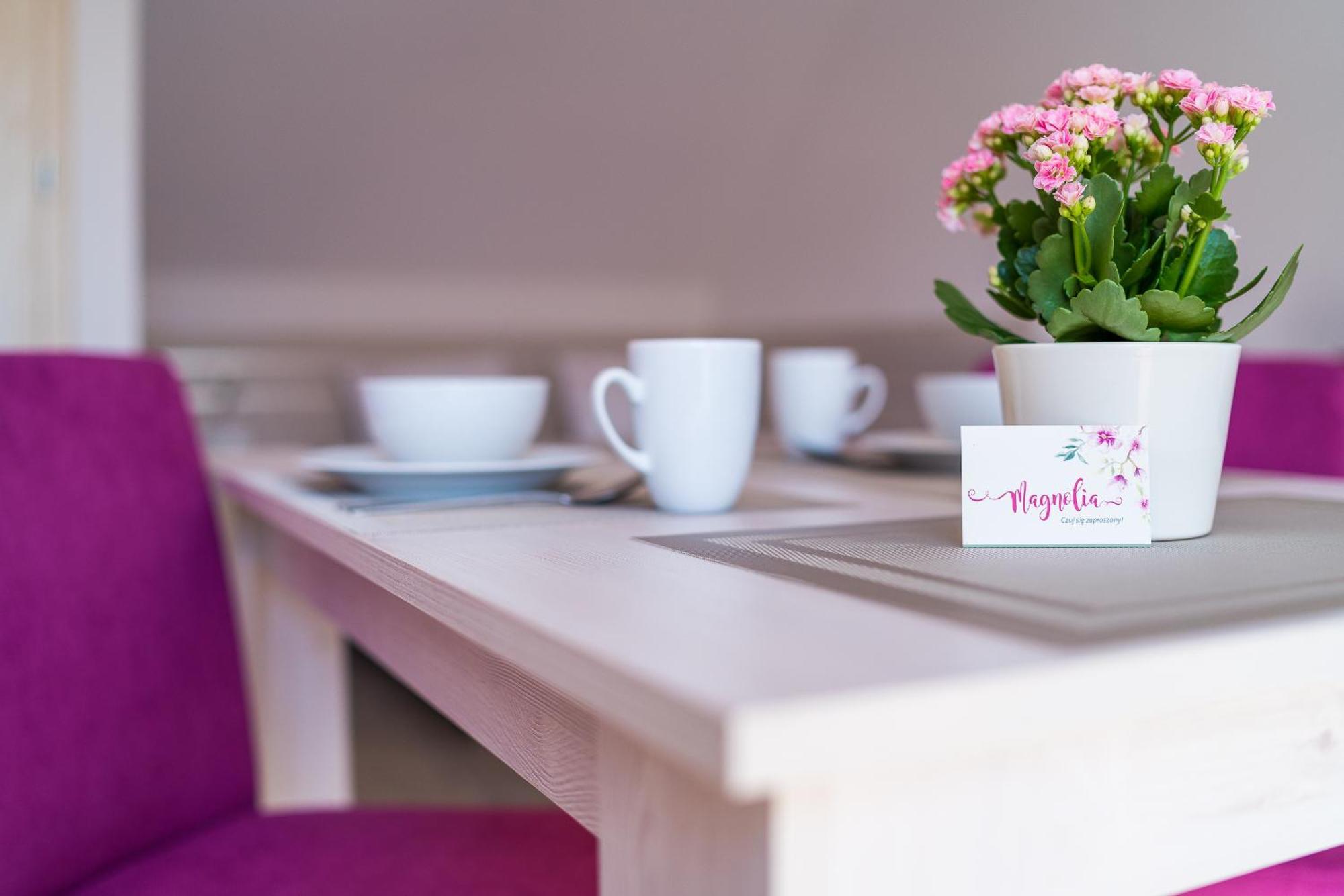 Magnolia Pokoje I Apartamenty Debki Ngoại thất bức ảnh